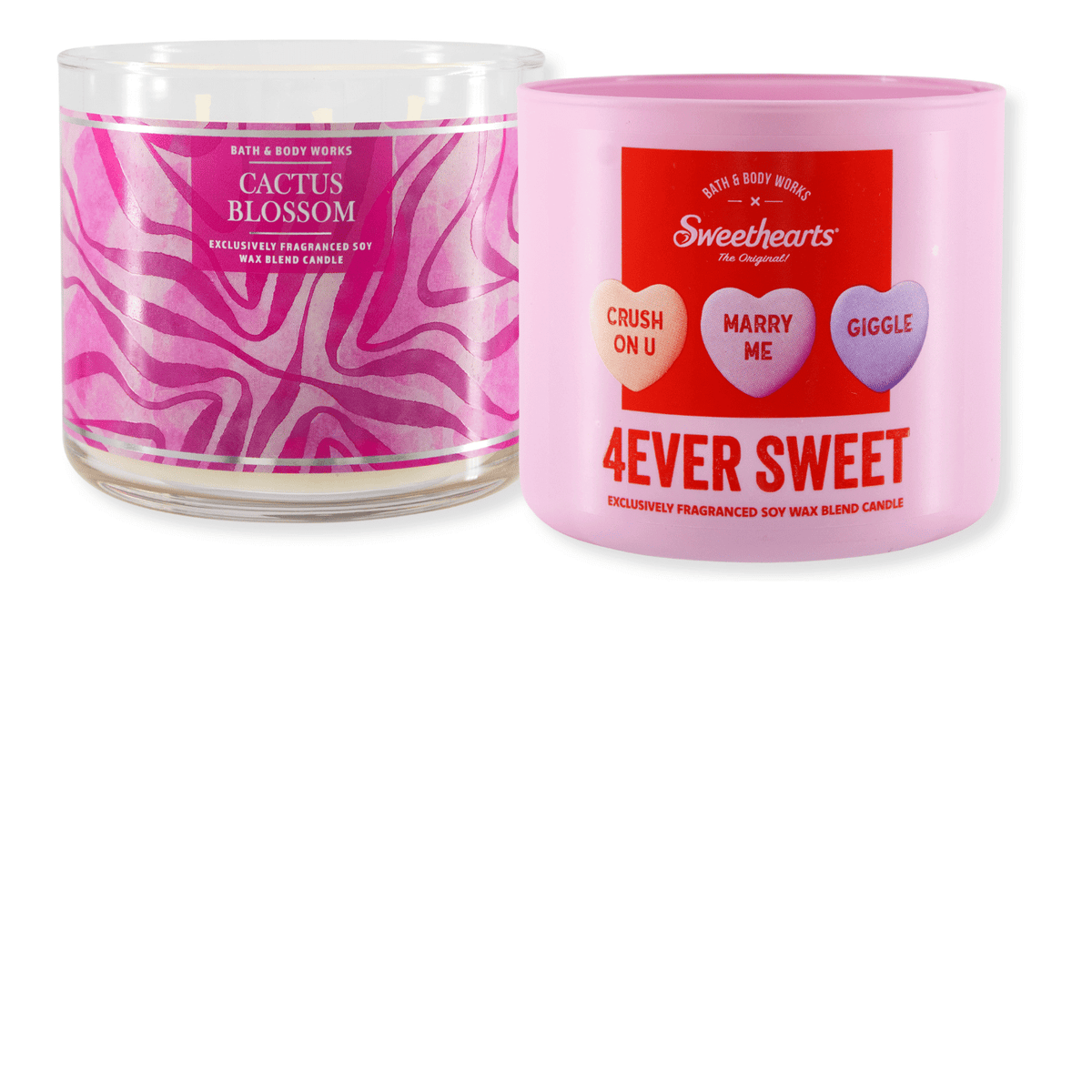 Bath and Body shops Works Candles