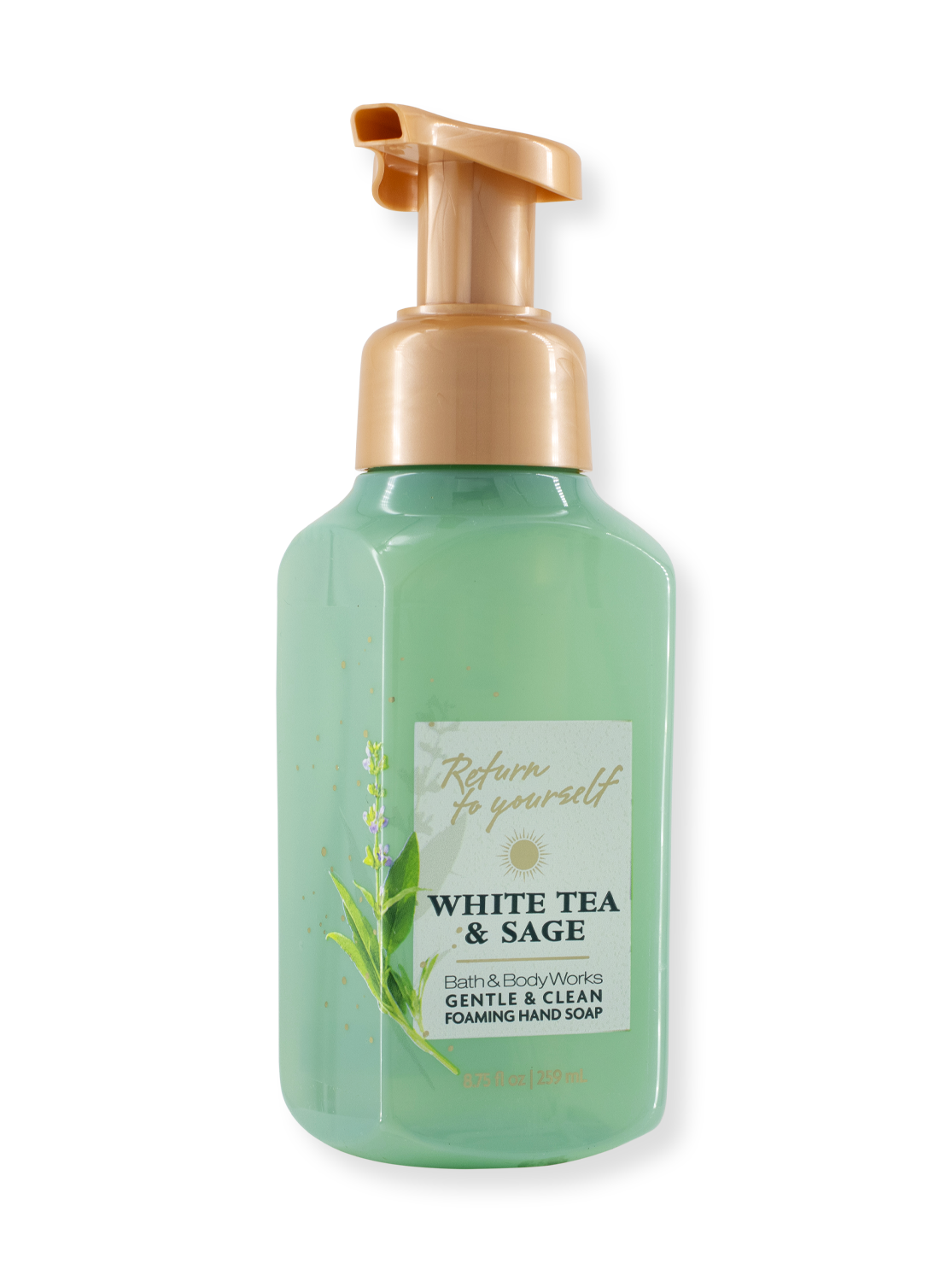 Foam soap - white tea & Sage - 259ml